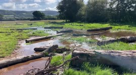 Somerset river reconnected to floodplain following three-year project in Exmoor, UK