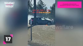 Top 17 Incredible Dash Cam Moments Caught on Camera