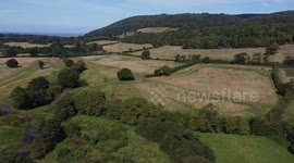 Somerset river reconnected to floodplain following three-year project in Exmoor, Somerset, UK