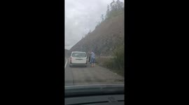 Fearless motorist pulls over to feed BEAR by hand in eastern Russia