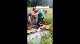 'Shiny Pokemon of snakes' Professional captures elusive Florida Pinesnake in moment of 'peak excitement'