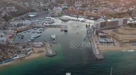 A group of four blue sharks investigates a group of humans in the wild waters off Cabo San Lucas, Mexico