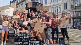 Muscular vegans challenge misconception that non-meat eaters are protein deficient in Piccadilly Circus demo