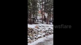 US: First Snow Of The Season Reported In Colorado