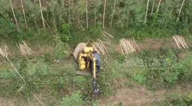 Wild elephant attacks excavator clearing forest in Thailand