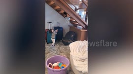 Pet cat plays throw-and-catch with little boy