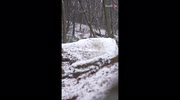 temp