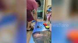 Pet dog learns how to retrieve owner's house keys when he is locked out