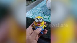 Meow-nion! Pet cat copies blue and yellow minion toy's tongue movement