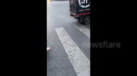 Chinese Pedestrian Leads Dog by Its Ears at Zebra Crossing In Jinan, Shandong, China