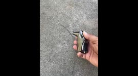 Super strong lighter burns things. Really strong!! Fire torch