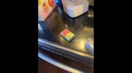 High powered blue laser, pointer lights, matches with no problem!!!