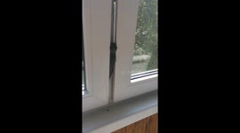 Homeowner rescues bird trapped in tight space between windows