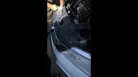 Dust-covered stray cat plucked to safety from inside car engine