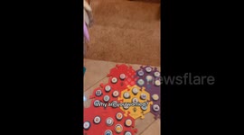 Talking' dog goes viral but TikTokers are worried she’s ‘too intelligent’