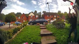'Can't let him out of sight!' - Reckless puppy jumps out of first-floor window