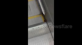 Cockroach Crazily Races Against Escalator in Guangzhou, China
