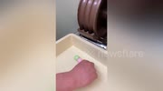 temp