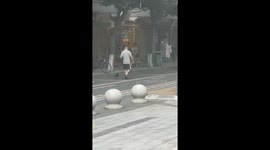 Man takes his pet bird for a walk down street in China