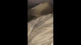 Ukrainian soldier's intense encounter with a persistent rat