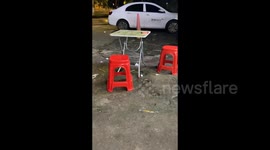 Neat Soricidae Squad Roams on Streets at Night in Haikou, China