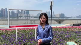 Vlog: How cutting-edge technologies revolutionize city travel in Hangzhou