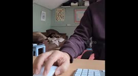 Puppy Is a Poor Employee