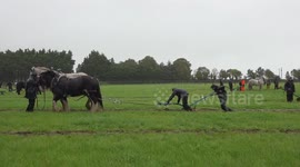 Higgins criticises ‘US style’ of agriculture in Ploughing Championships speech in Co. Laois, Ireland