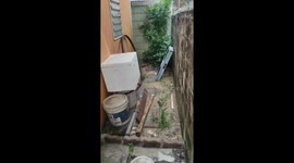 Staggeringly large python slithers over family's garden wall