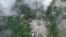 China's rainforest preservation in eyes of French entrepreneur