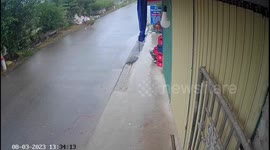 Disturbing footage: brazen dog theft caught on camera in Nam Truc District, Vietnam
