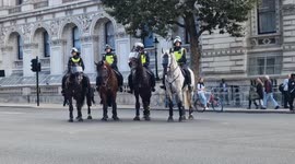 British Eritreans protest 'being cancelled' under heavy police presence in Whitehall