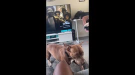 Pep talk with the dog before we go out