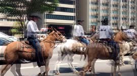 People Ride With Horses and Buggies on World Car Free Day in Sao Paulo, Brazil