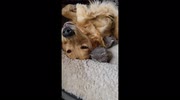 temp