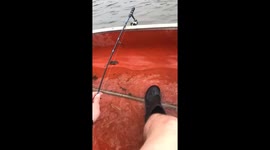 Mouse Accepts Man's Invitation