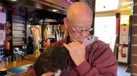 Turkey owner goes everywhere with his inseparable companion - even to the pub and the dentist