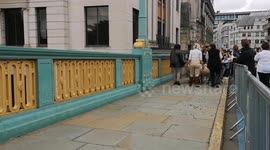 Sheep try to escape the Annual Sheep Drive & Livery Fair 2023 over Southwark Bridge