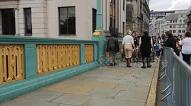 Photographer stops escaping Sheep as they try to escape the Annual Sheep Drive and Livery Fair which is held in the City Of London