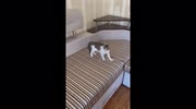 temp