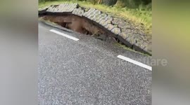 Tarmac road cracks as storm winds uproot tree along pavement