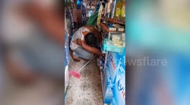 Huge python flushed out by flash floods found grocery store in Cambodia