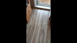 Medicine cabinet mischief: cat takes charge as 'pharmacist' in hilarious video