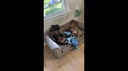 temp