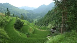 Intangible Cultural Heritage - Miao Wax Dyeing.