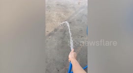 Python ignores resident trying to scare it away with water hose