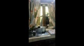 Black Bear Shatters Kitchen Window