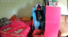 Motion-detecting CCTV captures pet cat staring close into camera