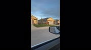 temp