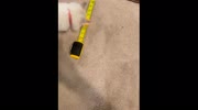 temp